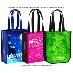 Custom Nonwoven Gift Bag