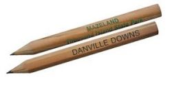 Hex Natural Finish Golf Pencil