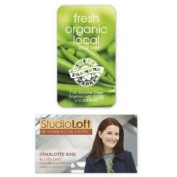 30 Mil 4-Color Process Business Card Magnet