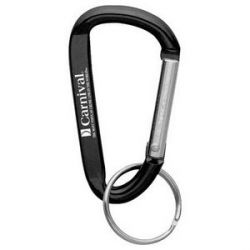 Small Carabiner Key Ring
