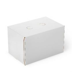 6-pack 12 Oz. Standard Can Boxes Auto-Bottom (7.75"x5.188"x4.875")