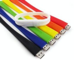 16GB Wristband 100 Series-GS